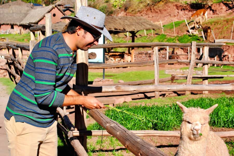 From Cusco: Private Pisac Ruins and Alpaca Farm Day Trip - Key things that make this day trip work