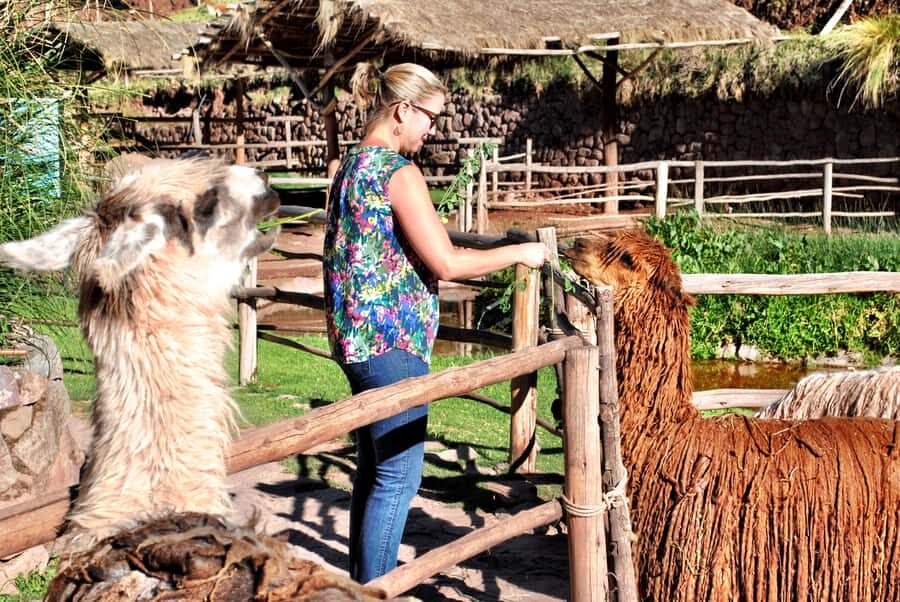 From Cusco: Private Pisac Ruins and Alpaca Farm Day Trip - From Cusco pickup to Pisac town: how the schedule stays easy