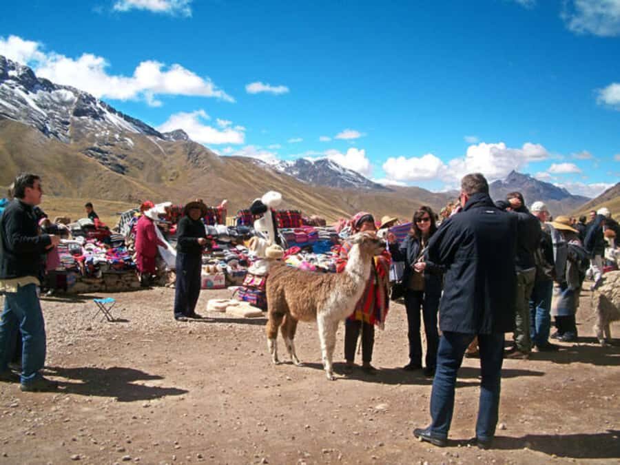 From Cusco: Puno and Uros Islands 2-Day Trip - What to pack for Puno and the lake (warmth matters)