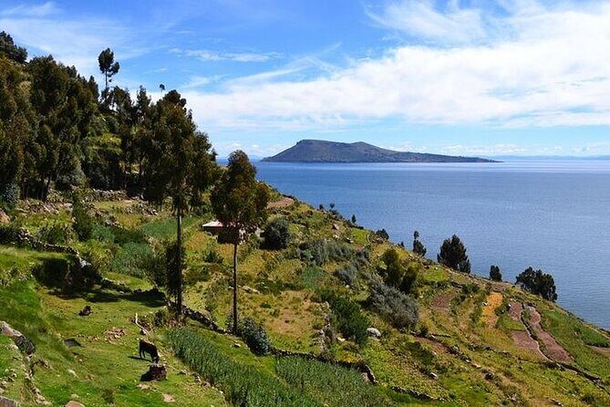 From Cusco to Lake Titicaca: 2-Day Homestay Tour - Uros Floating Islands at 8:15: reed islands, short boat time, and a practical mindset