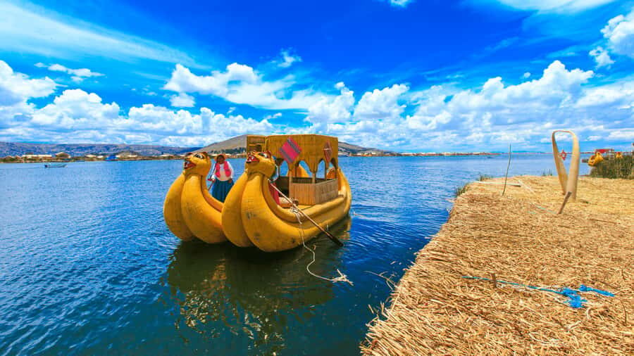 From Puno: Travel to Cusco in Titicaca Train All Inclusive - Arrival in Cusco: the last transfer piece
