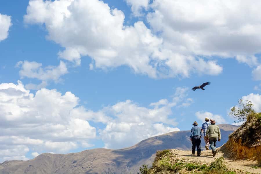 Full-Day Condor Viewpoint & Inca Sites Tour - Quillarumiyoc and Tarawasi: the Incas watching the sky