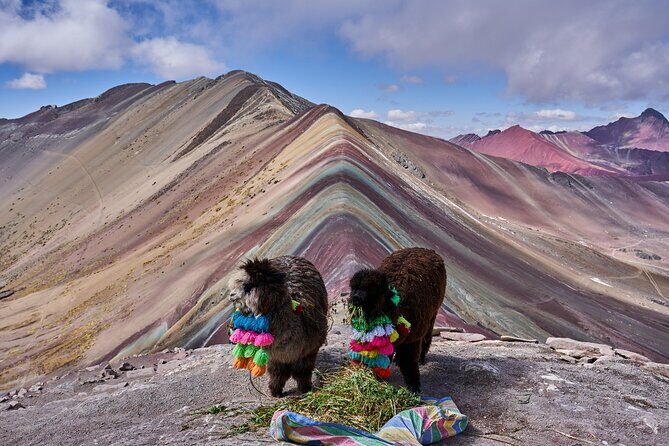 Full Day Guided Tour in Vinicunca Rainbow Mountain - The practical perks I’d count on day-of