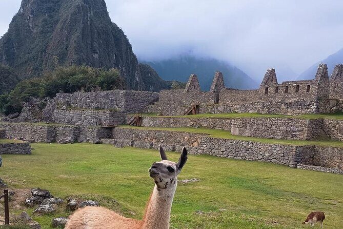 Full Day Machu Picchu from Cusco with Vistadome train - Ollantaytambo to Aguas Calientes: the gateway move you want handled for you