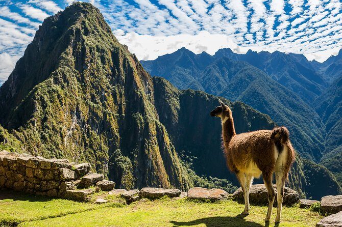 Full-Day Machu Picchu Tour From Cusco - A sunrise alarm and a plan that actually holds