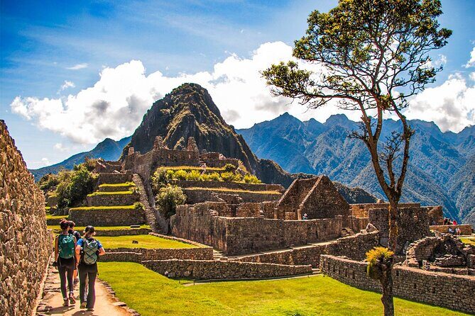 Full-Day Private Tour in Machupicchu with Expedition Train - Riding up to Machu Picchu: your first guided block at the citadel