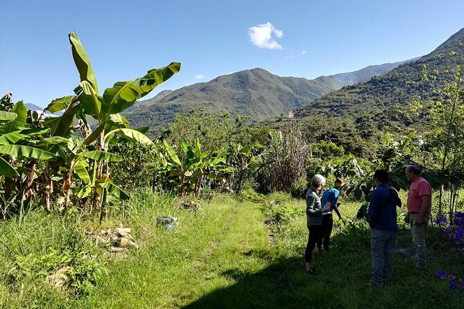 Full-Day Tour: Cacao farm experience in the jungle of Cusco - Key highlights worth planning for