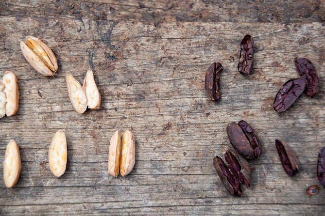 Full-Day Tour: Cacao farm experience in the jungle of Cusco - Timing and the 10–14 hour reality from Cusco