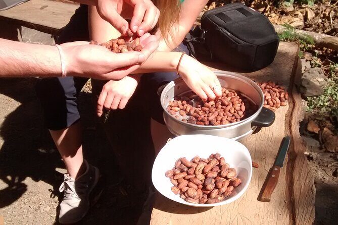 Full-Day Tour: Cacao farm experience in the jungle of Cusco - Who this tour fits best in Cusco (and who may want a different day)