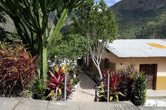 Full-Day Tour: Cacao farm experience in the jungle of Cusco - Lunch on a working farm: simple, local, and not an afterthought