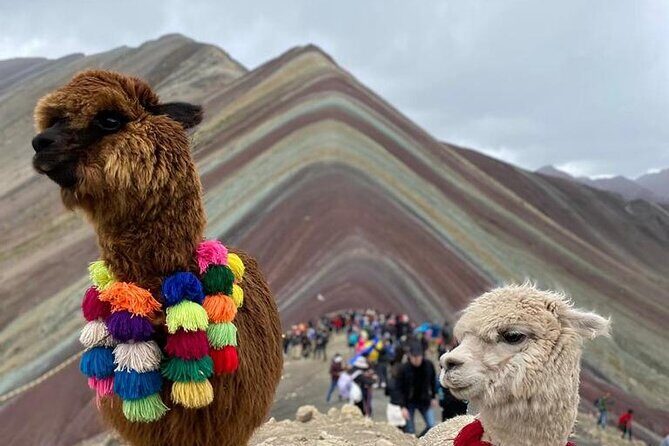 Full Day Tour in ATV by Montana 7 Colores Cusco - Included value vs. what costs extra