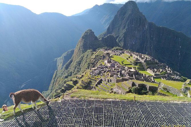 Guided Tour of Machupicchu: Private and Flexible 3 hours - Photography Without Wasting Your Best Light