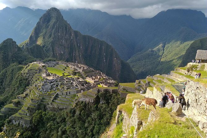Guided Tour of Machupicchu: Private and Flexible 3 hours - Fitness, Comfort, and How Not to Feel Rushed