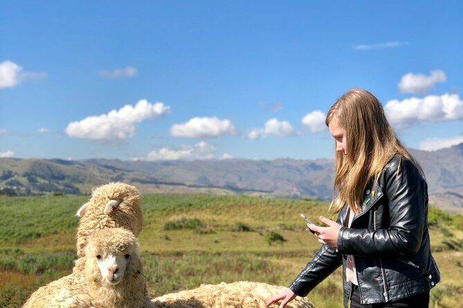 Half-Day Acclimatization Hike with Llamas and Alpacas in Cusco - Key highlights to know before you go
