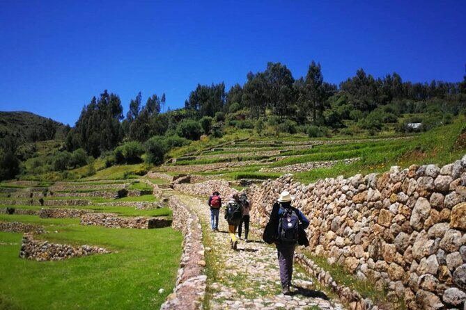 Half-Day Acclimatization Hike with Llamas and Alpacas in Cusco - Tambomachay: a calm start 20 minutes from Cusco