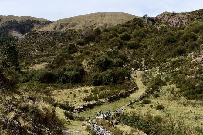 Half-Day Acclimatization Hike with Llamas and Alpacas in Cusco - Guides make the difference: Ruben, Fabiana, Holgar, and Irma’s role