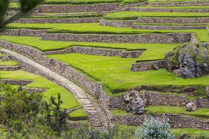 Half-Day Acclimatization Hike with Llamas and Alpacas in Cusco - What the llamas and alpacas add (beyond being cute)
