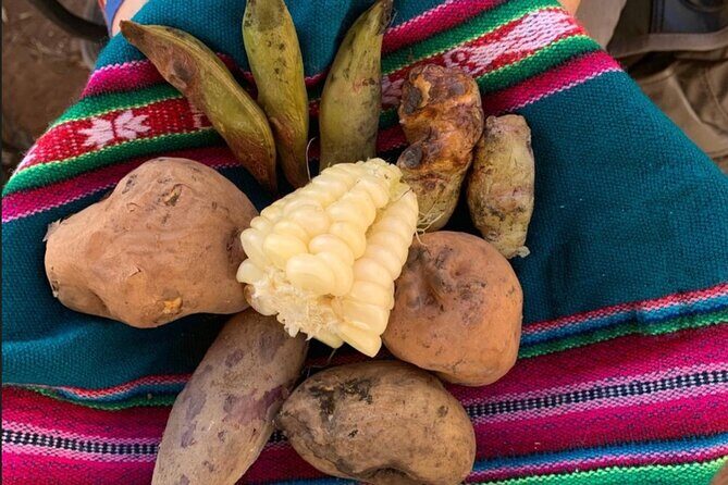 Half Day Andean Llama Trek in the Sacred Valley - Key highlights that make this trek worth it
