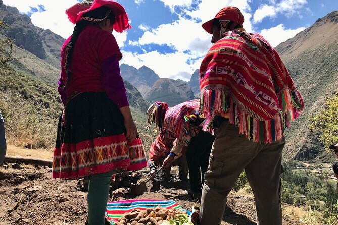 Half Day Andean Llama Trek in the Sacred Valley - Your 3 hours 45 minutes: what happens from San Isidro to the Pumahuanca Valley view