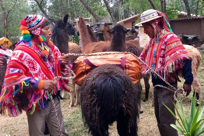 Half Day Andean Llama Trek in the Sacred Valley - Food on the trail: snacks, tuber tasting, and lunch that’s more than a meal
