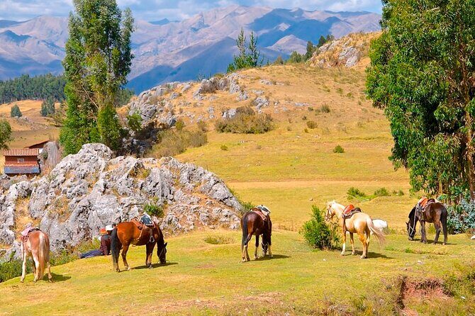 Half day: City Horse Riding - Mistic Tour - Group Service - Horses, Wildlife, and the Feel of the Countryside