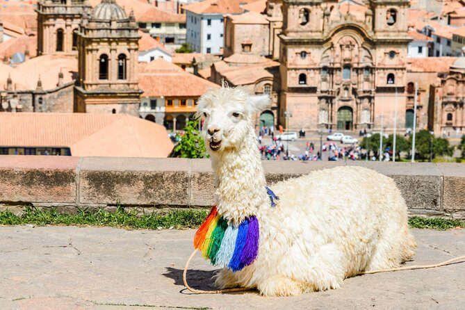 Half Day - Cusco City Essentials (Afternoon Group Tour) - Q’enco and the Idea of Earth Worship