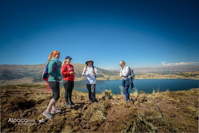 Hike with Llamas and Alpacas in the Sacred Valley from Cusco - Key highlights worth planning for