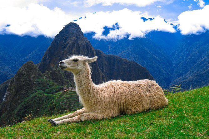 Hire a fluent English speaking and professional Machu Picchu guide - Why a fluent guide changes Machu Picchu