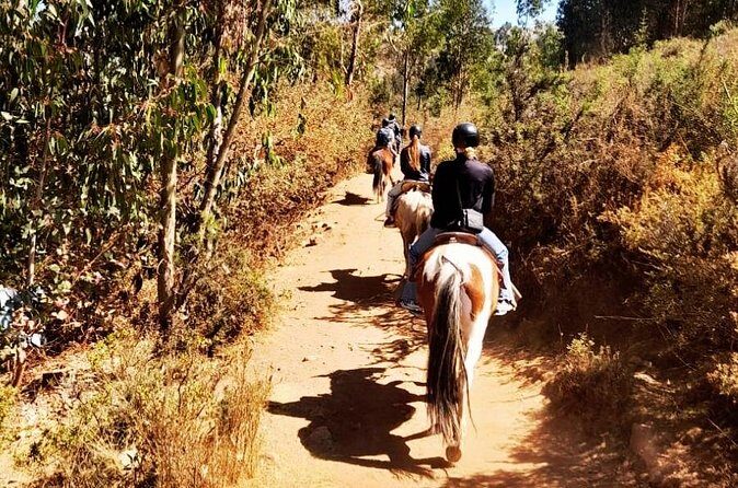 Horseback riding around Sacsayhuaman, Cusco - Chacan Mountain Panoramas and the Main 2-Hour Horseback Riding