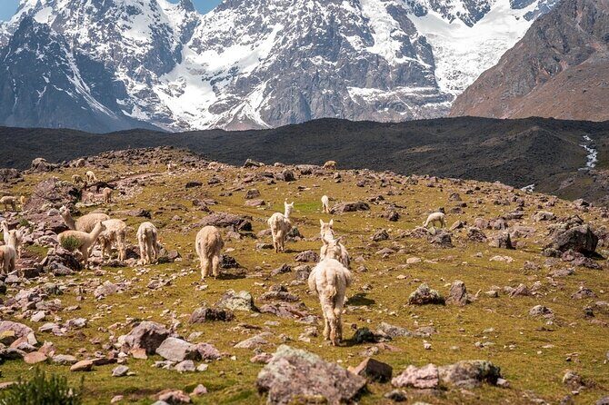 Horseback Riding In Ausangate 7 Lakes Full Day - Private - Price and value at $180: what you’re paying for