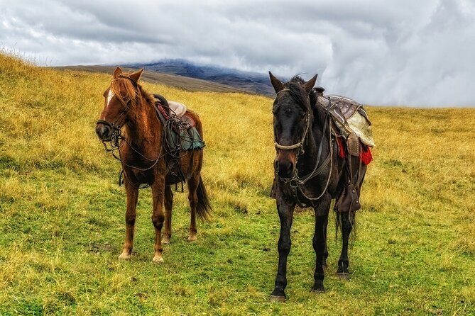 Horseback Riding In Ausangate 7 Lakes Full Day - Private - Who should book this private horseback ride?