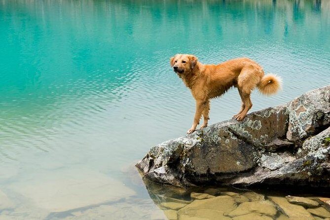 Humantay Lake Hike: 1 Full Day - Key points before you go