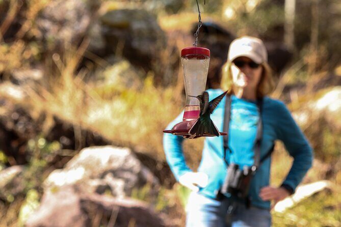 Hummingbirds of the Sacred Valley - Cusco - Jose and the birding game plan: seeing more species, with less stress