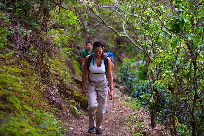 Inca Jungle 4 Days and 3 Nights premium - Price and value: what’s included, what costs extra
