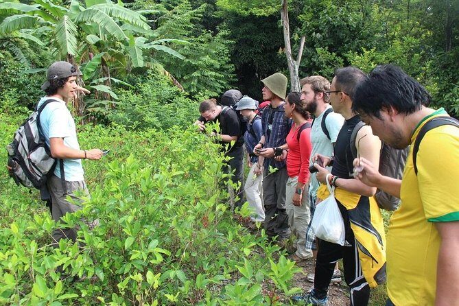 Inca Jungle Tour to Machu Picchu 4D - 3N Standard - Price and value: what US$470 really covers (and what it doesn’t)