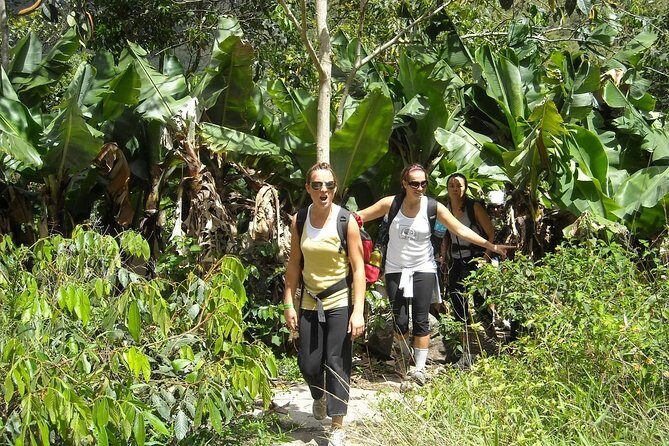 Inca Jungle Tour to Machu Picchu 4D - 3N Standard - Fitness and pacing: downhill, jungle walks, and an early Machu Picchu morning