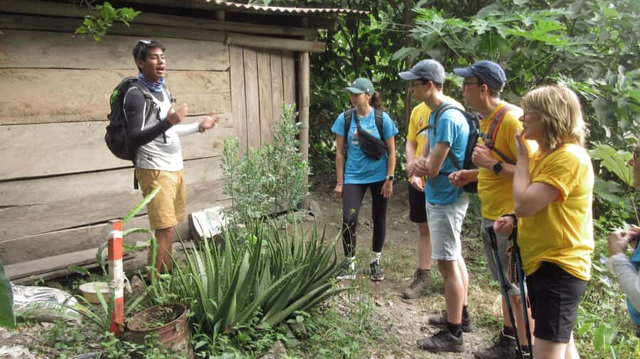 Inca Jungle Trail to Machu Picchu in 4 Days - Key Things to Know Before You Go