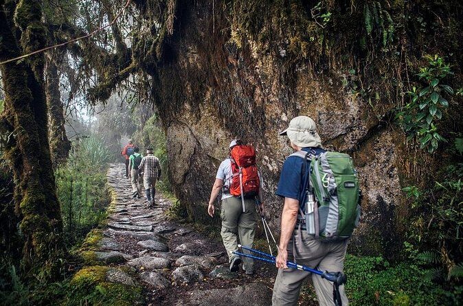 Inca Trail 4 Days and 3 Nights to Machu Picchu - Day 2: Coca Tea, Dead Woman’s Pass, and the Hidden Inca Stops