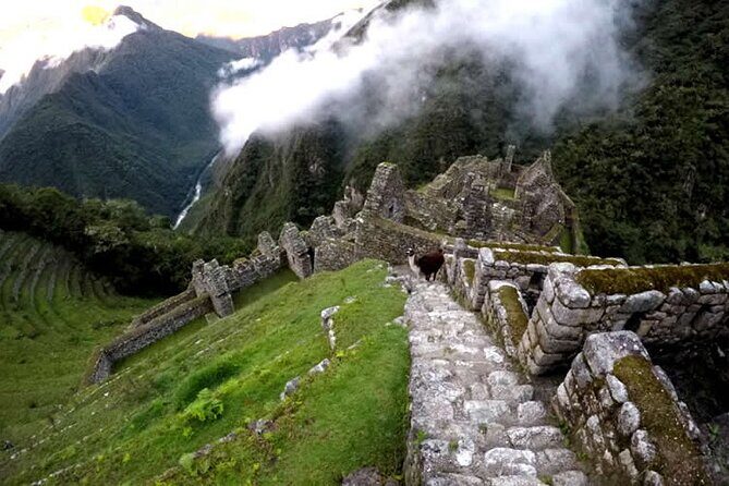 Inca Trail Adventure to Machu Picchu 2 Day Tour - Tour Pacing and Physical Reality: Steps, Elevation, and Your Best Strategy