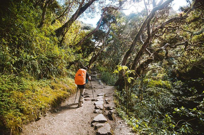 Inca Trail to Machu Picchu (4 Days) - Day 4: Sun Gate at 5:30am, a Guided Machu Picchu Tour, Then the Train Home
