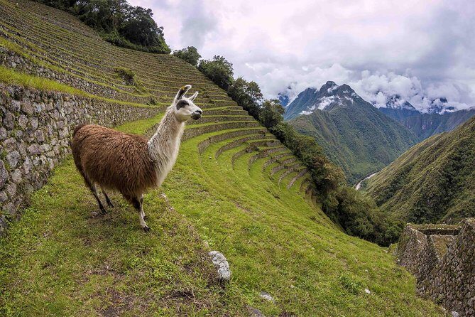 Inca Trail Trek to Machu Picchu - 2 Days (Small Group or Private) - Day 1: Inca Trail walking, then Machu Picchu with an early-slot plan