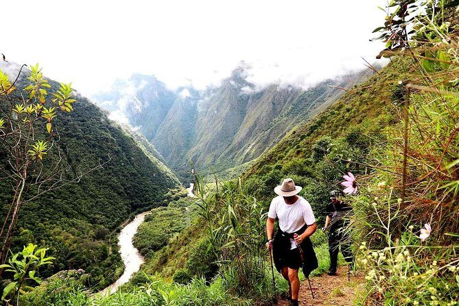 Inka Jungle trek to Machu Picchu in 4-days Tour - Why This Inka Jungle Route Feels Like the Practical Alternative