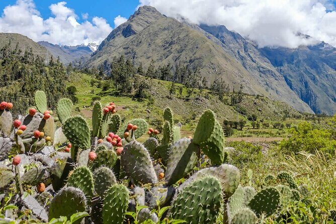Inka Trail 4 Days to Machupicchu - Guides and group size: why max 10 matters on a high-altitude hike