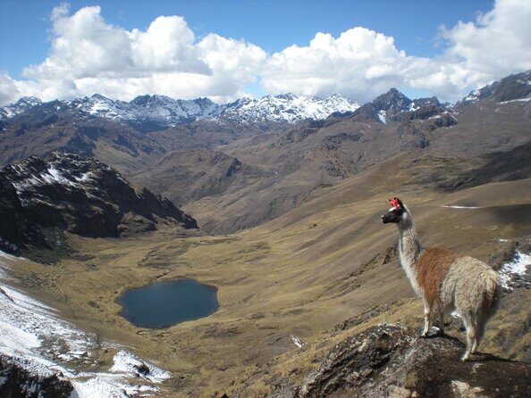 Lares Valley Trek with Hot Spring 4-Day, 3-Night - Key Things to Know Before You Go