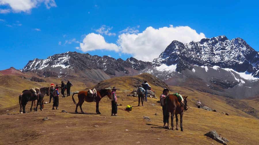 Lima: 7-Day Inca Tour with Flights and Machu Picchu - Day 2: Paracas wildlife, pisco tasting in Ica, then Huacachina sandboarding