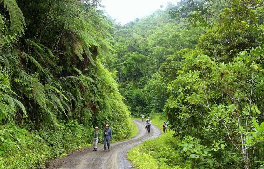 Living Nature from Cusco: 3 Days Manu Jungle all inclusive - Key Highlights You’ll Care About