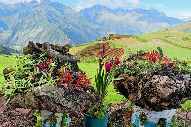 Llama & Alpaca Experience (Cusco Region): ANDEAN COLORS - The Andean Colors boutique: hundreds of textiles plus fine leather goods