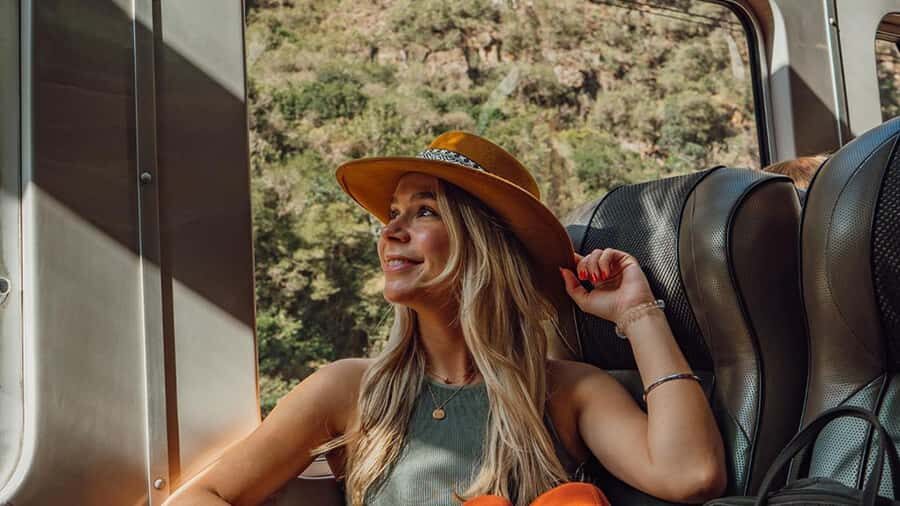 Machu Picchu: 1-day tour by Vistadome Observatory train - Price and value: is $590 per person worth it?