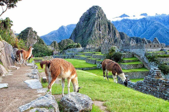 Machu Picchu By Train 2 Days Tour - Day 2: the Machu Picchu guided tour you actually remember