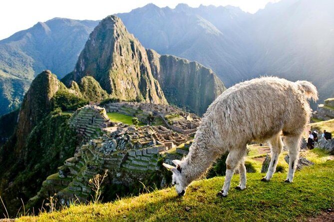Machu Picchu By Train (Day Trip) - Your return to Cusco: 4:12pm direct vs 7:00pm via Ollantaytambo